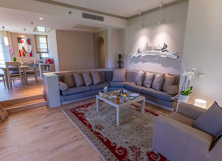 Executive Villa 3 770X560