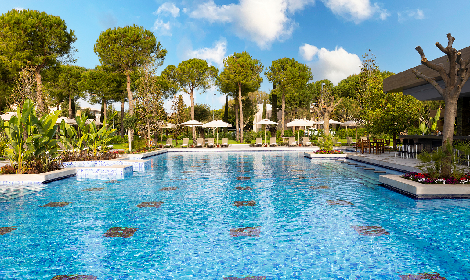 Heated Outdoor Pool 2