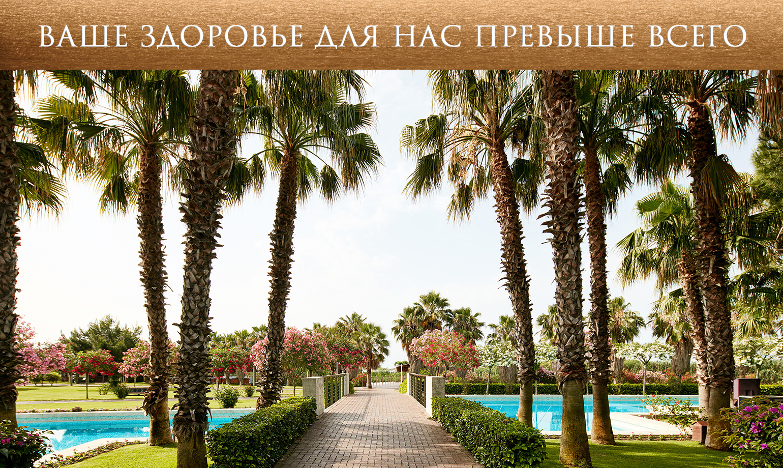 Web 1540X920 Ru