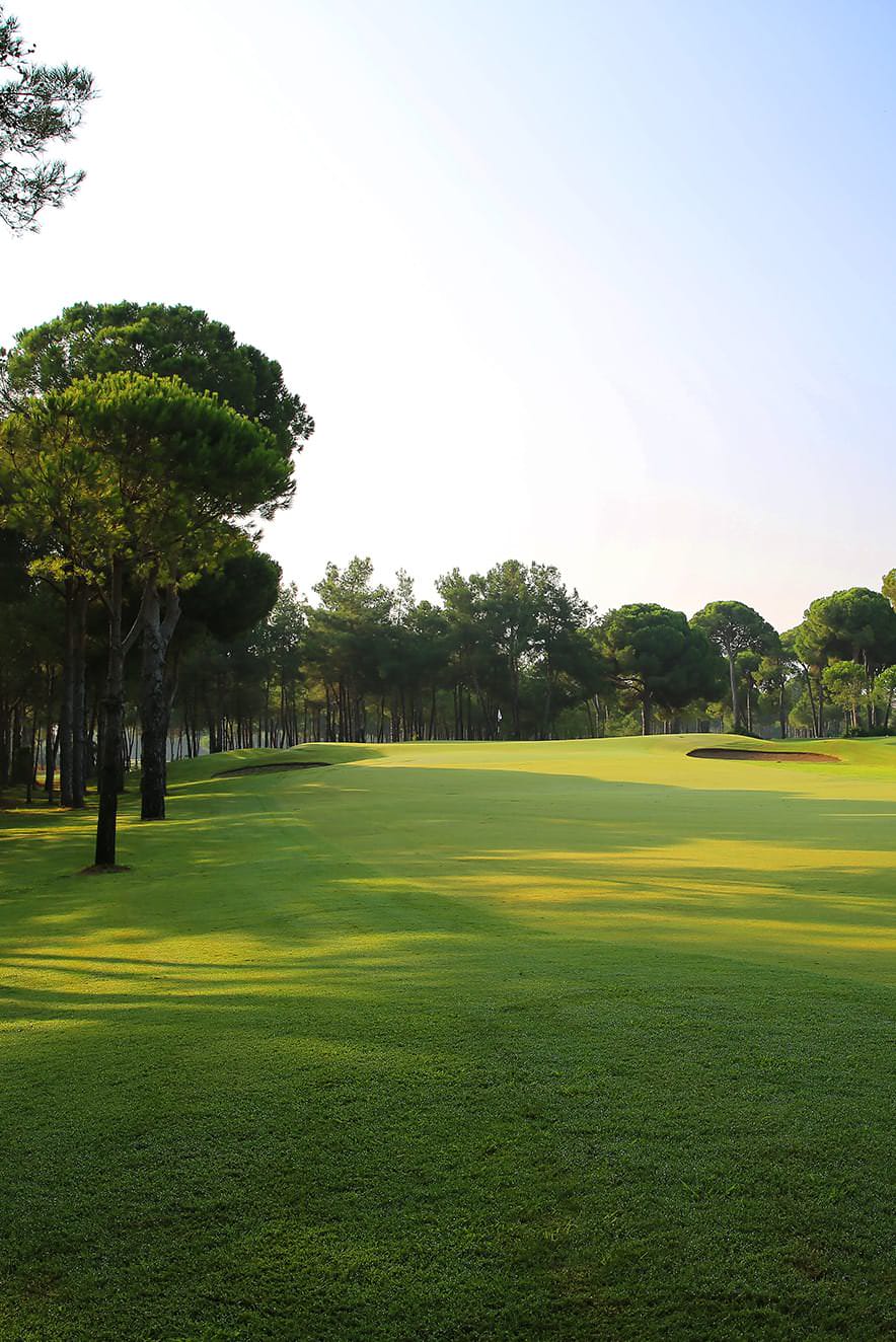Gvr Golf Deneyim