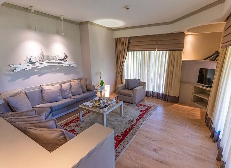 Executive Villa 2 770X560